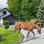 ‚u Misia' Ferienpark