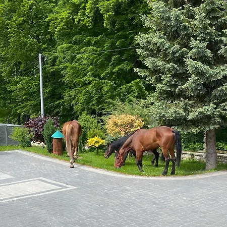 ‚u Misia' Holiday park Krzywoploty (Olkusz)