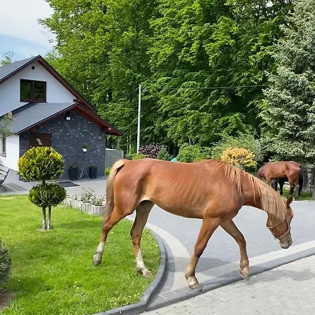 ‚u Misia' Holiday park