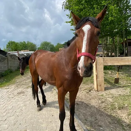 ‚u Misia' Semesterpark *