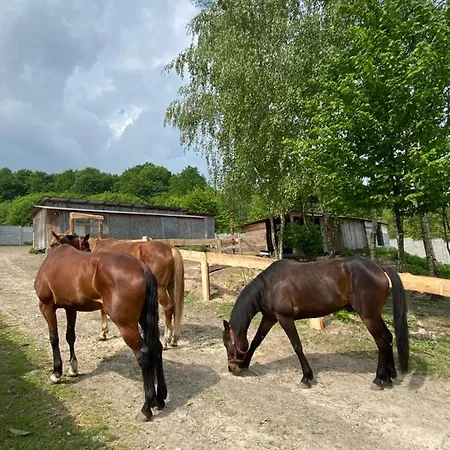 ‚u Misia' * Krzywoploty (Olkusz)