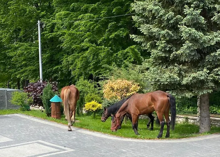 ‚u Misia' База отдыха Krzywoploty (Olkusz)