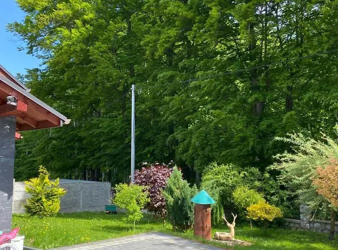 База отдыха ‚u Misia' Krzywoploty (Olkusz)