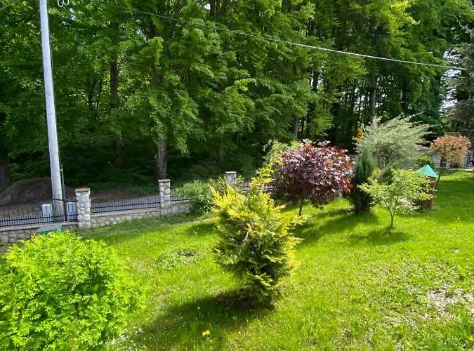 ‚u Misia' Feriepark Krzywoploty (Olkusz)
