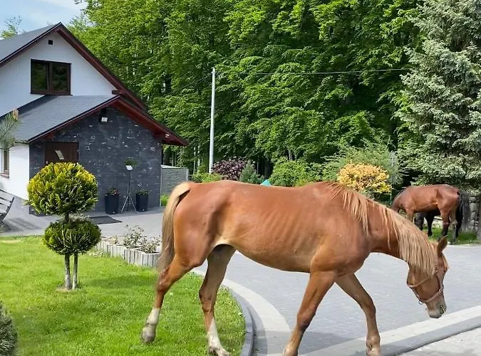 ‚u Misia' Feriepark