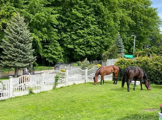 ‚u Misia' Feriepark