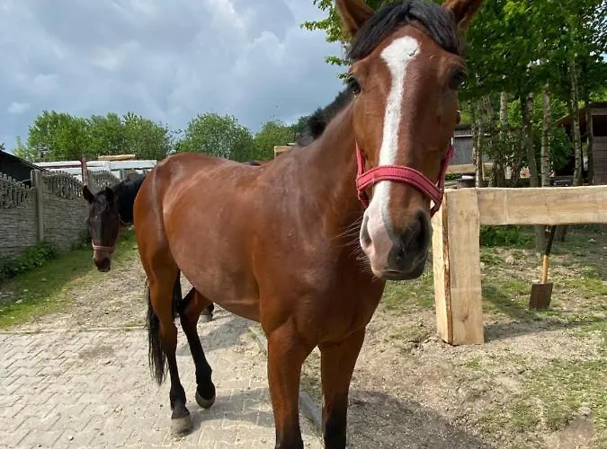 ‚u Misia' Feriepark *