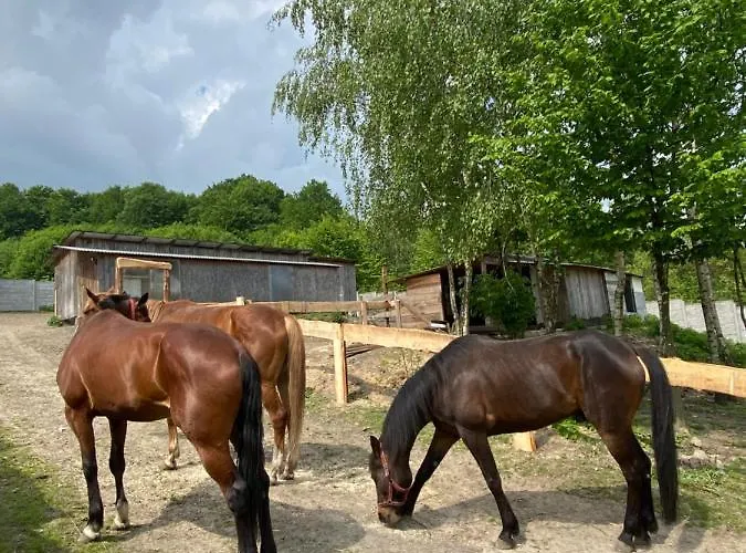 ‚u Misia' * Krzywoploty (Olkusz)