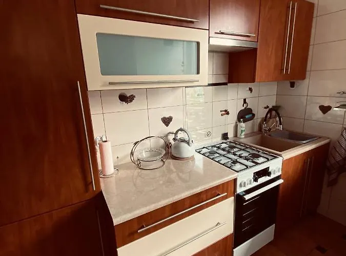 Feriepark ‚u Misia' Krzywoploty (Olkusz)