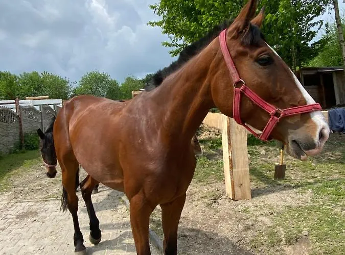 ‚u Misia' Feriepark